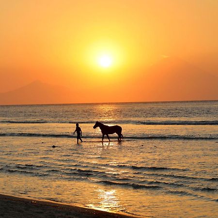 Villa Sunset Beach Gili Trawangan Eksteriør billede