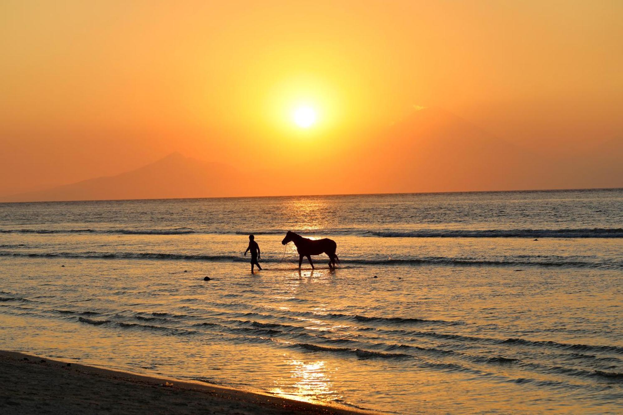 Villa Sunset Beach Gili Trawangan Eksteriør billede